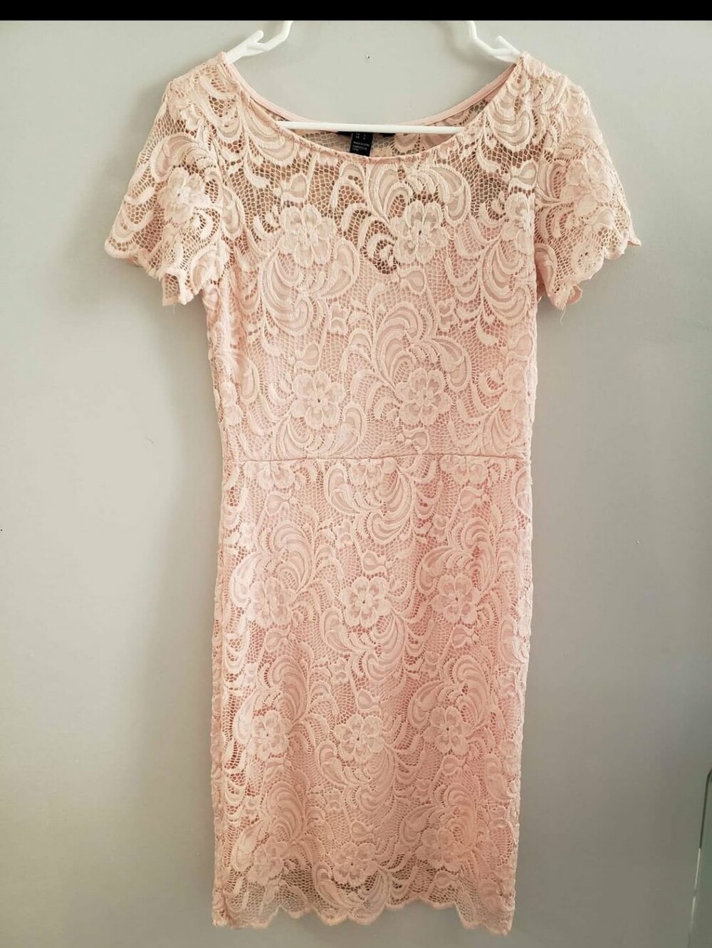 Streetwear Society Blush Pink Lace Mini Dress